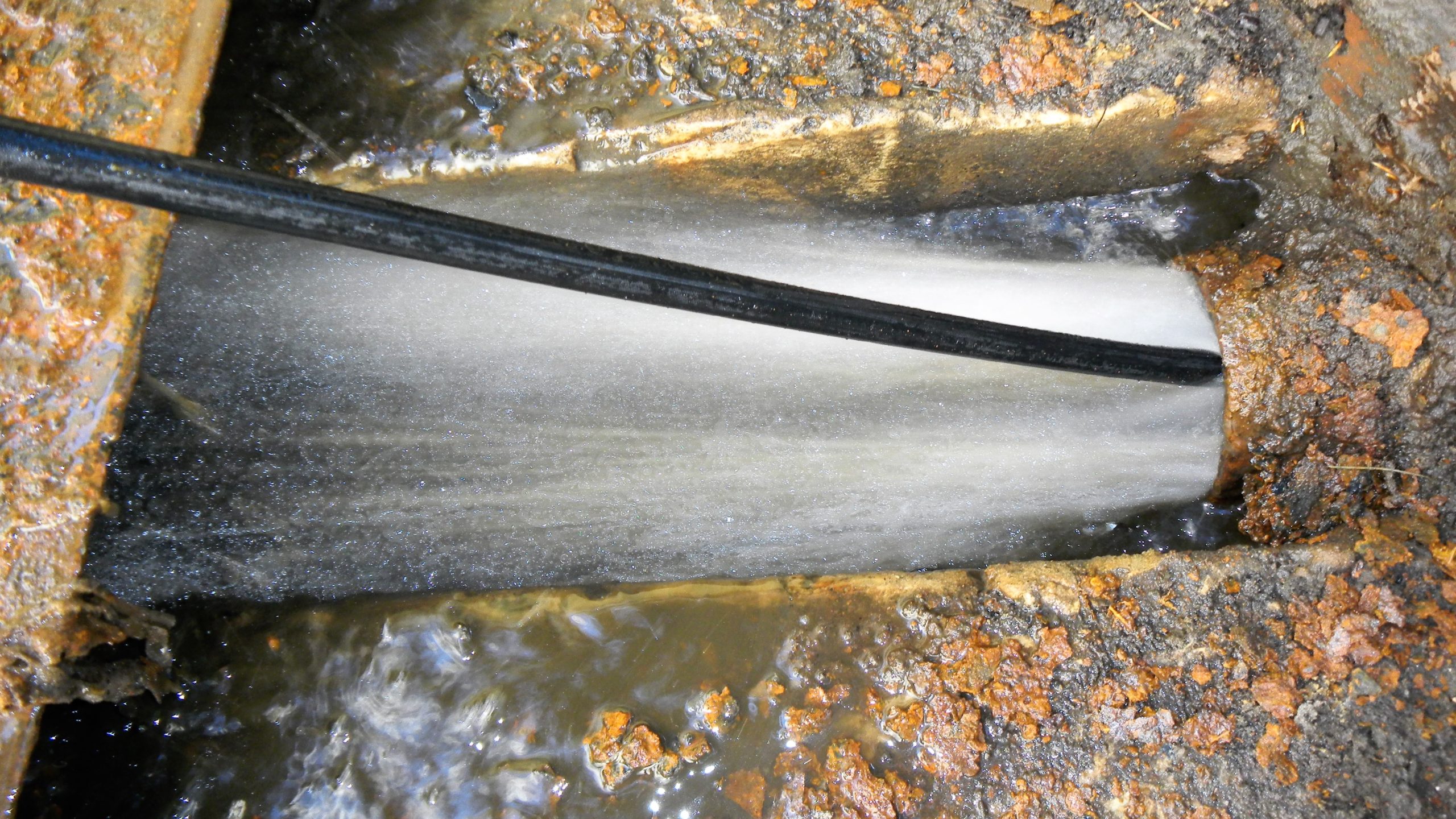 gidrochistka